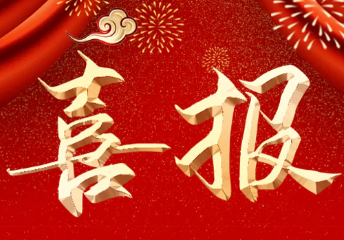 蘇中建設(shè)榮列2022中國企業(yè)500強(qiáng)第393位